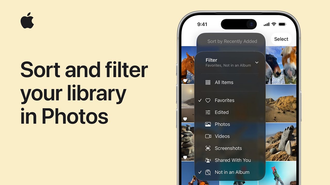 How to sort and filter your library in Photos on iPhone and iPad | Apple Support